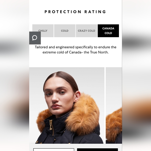 Moose Knuckles - Gold Stirling Parka Fur - Picture 5 of 13